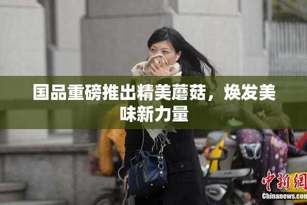 国品重磅推出精美蘑菇，焕发美味新力量