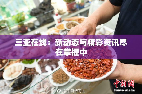 三亚在线：新动态与精彩资讯尽在掌握中