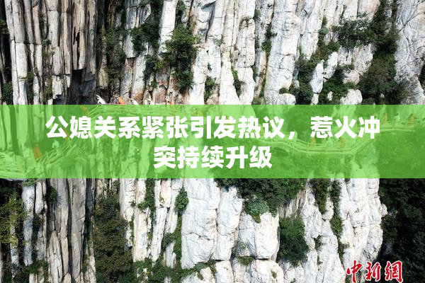 公媳关系紧张引发热议，惹火冲突持续升级