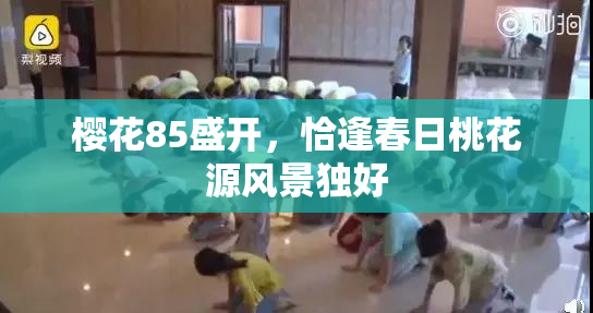 樱花85盛开，恰逢春日桃花源风景独好