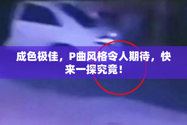 成色极佳，P曲风格令人期待，快来一探究竟！