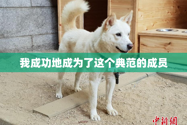 我成功地成为了这个典范的成员