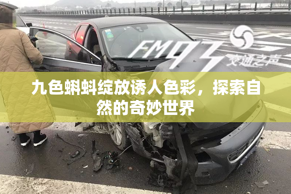 九色蝌蚪绽放诱人色彩，探索自然的奇妙世界
