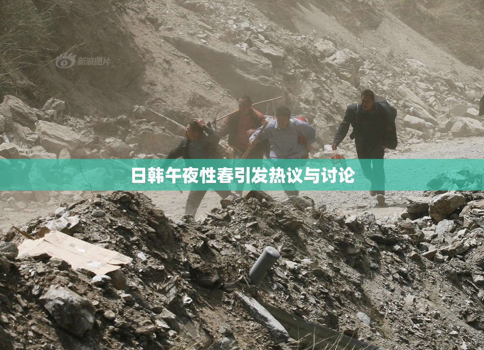 日韩午夜性春引发热议与讨论