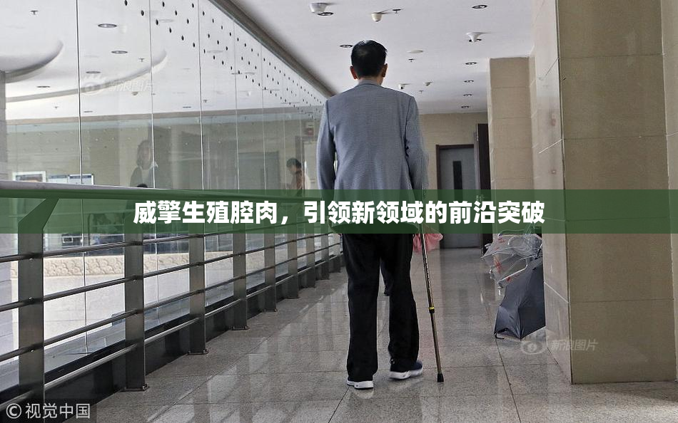 威擎生殖腔肉，引领新领域的前沿突破