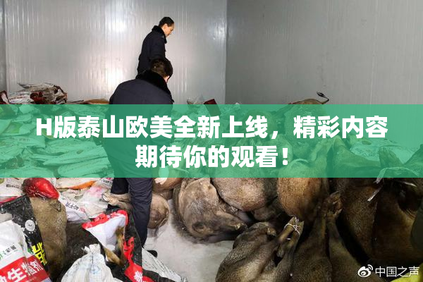 H版泰山欧美全新上线，精彩内容期待你的观看！