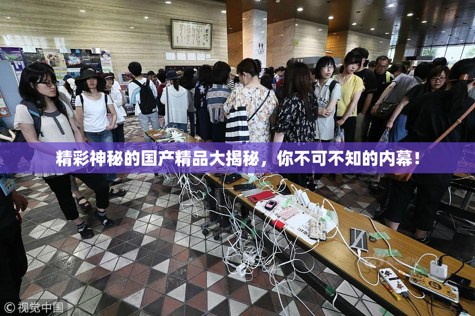 精彩神秘的国产精品大揭秘，你不可不知的内幕！