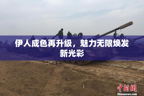 伊人成色再升级，魅力无限焕发新光彩
