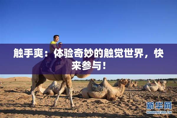 触手爽：体验奇妙的触觉世界，快来参与！