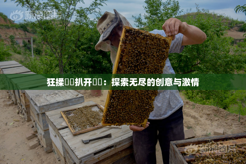 狂揉❌‌扒开❌‌：探索无尽的创意与激情