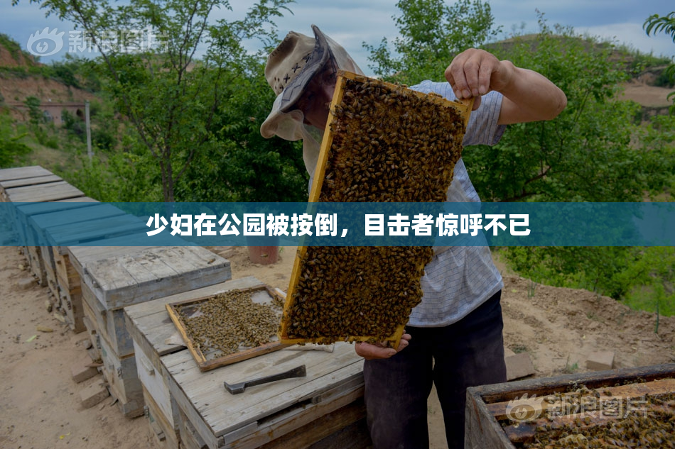 少妇在公园被按倒，目击者惊呼不已
