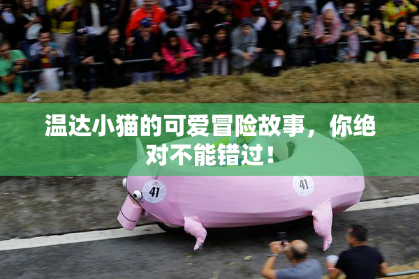 温达小猫的可爱冒险故事，你绝对不能错过！