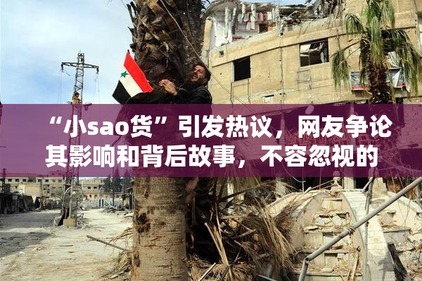“小sao货”引发热议，网友争论其影响和背后故事，不容忽视的文化现象。