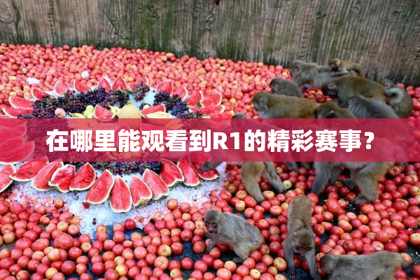 在哪里能观看到R1的精彩赛事？