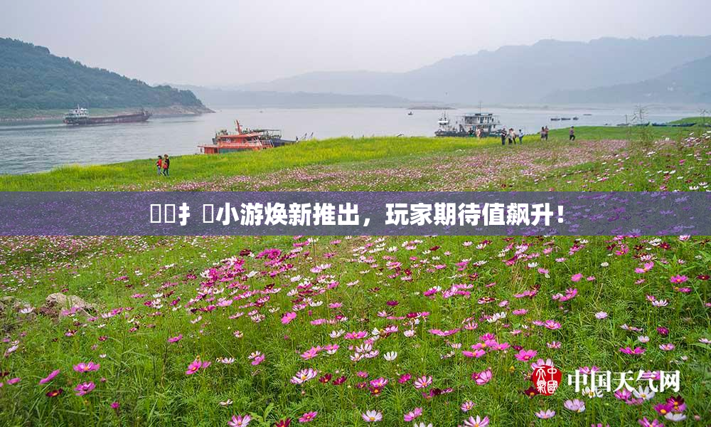 喿喿扌畐小游焕新推出，玩家期待值飙升！