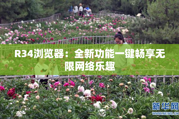 R34浏览器：全新功能一键畅享无限网络乐趣