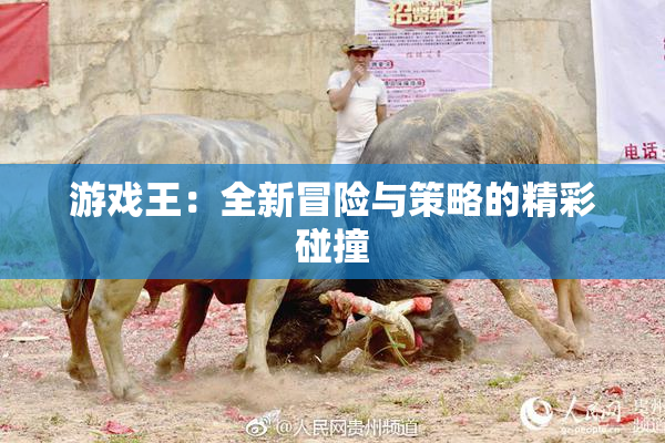 游戏王：全新冒险与策略的精彩碰撞