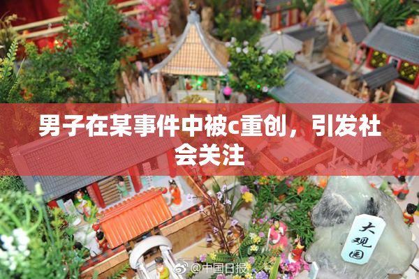 男子在某事件中被c重创，引发社会关注
