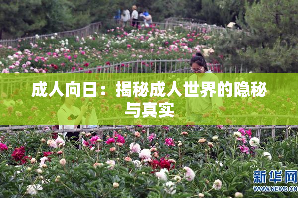 成人向日：揭秘成人世界的隐秘与真实