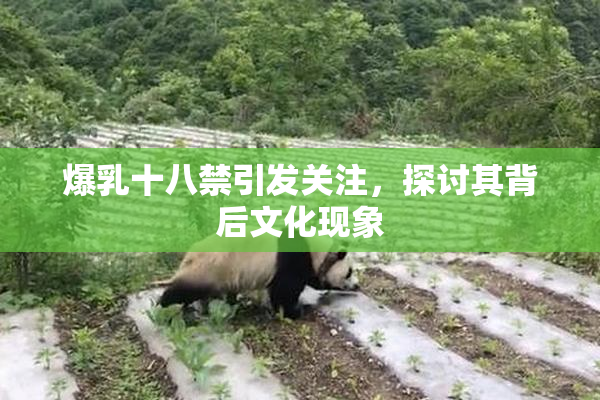 爆乳十八禁引发关注，探讨其背后文化现象