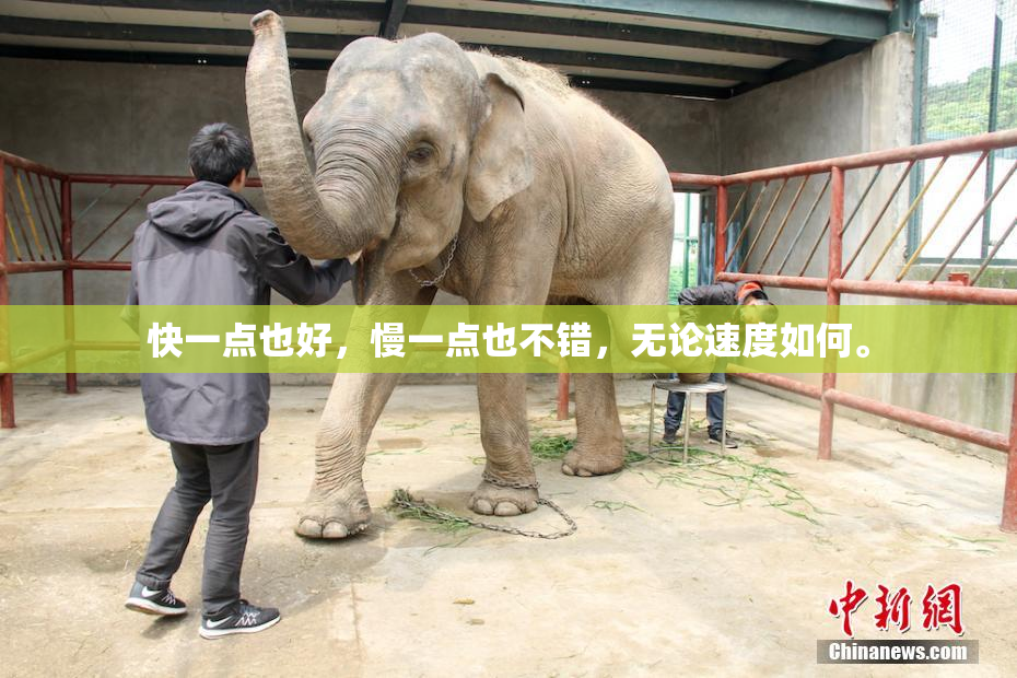 快一点也好，慢一点也不错，无论速度如何。