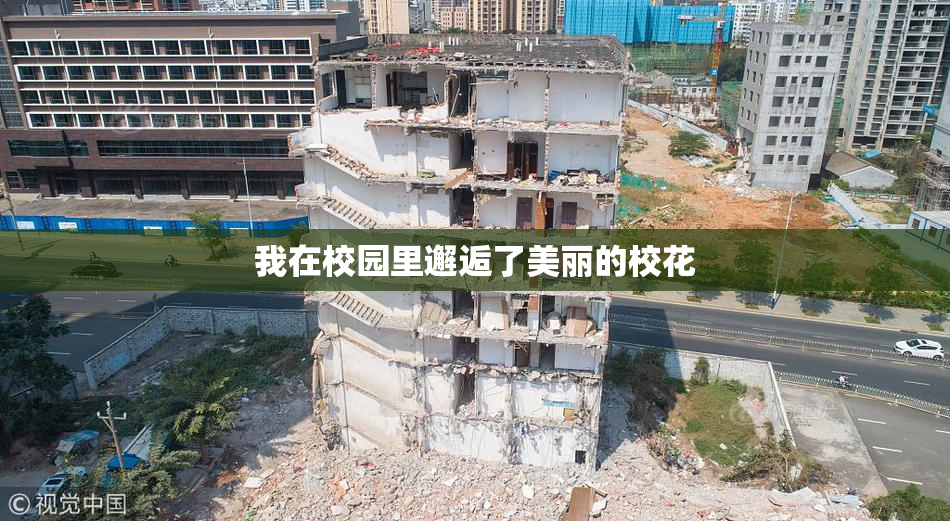 我在校园里邂逅了美丽的校花
