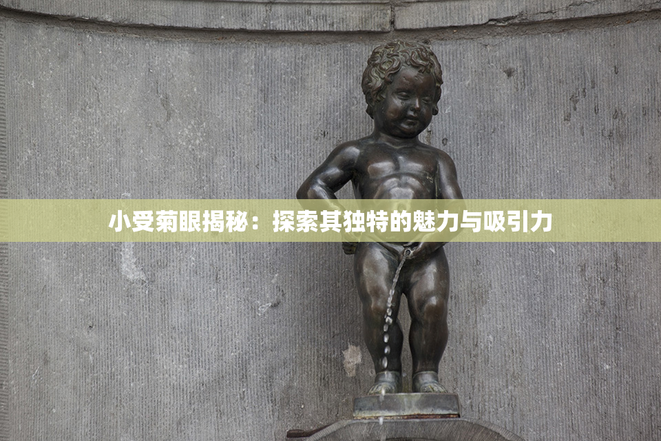 小受菊眼揭秘：探索其独特的魅力与吸引力
