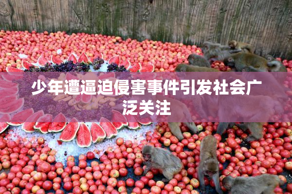 少年遭逼迫侵害事件引发社会广泛关注