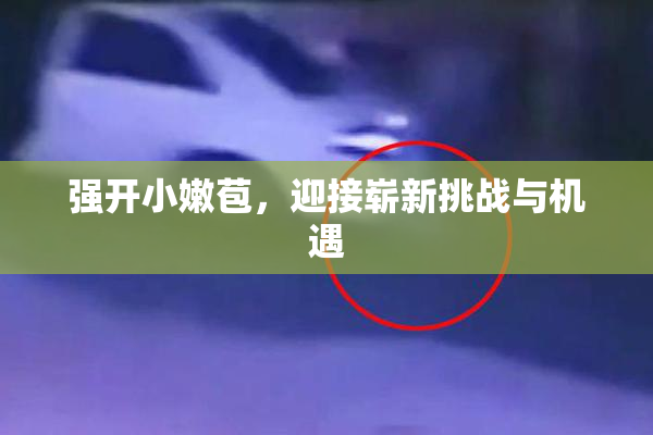 强开小嫩苞，迎接崭新挑战与机遇