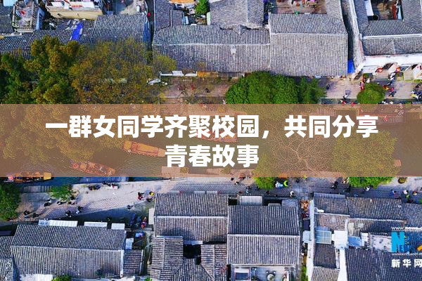 一群女同学齐聚校园，共同分享青春故事