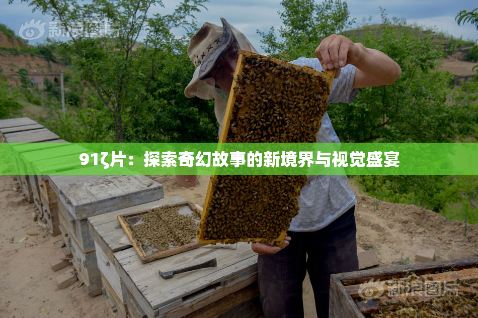 91ζ片：探索奇幻故事的新境界与视觉盛宴