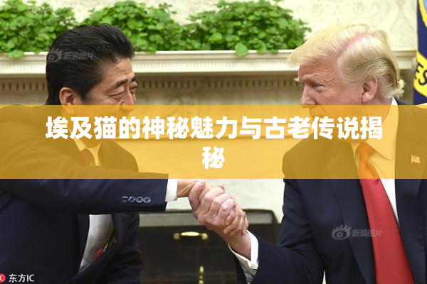 埃及猫的神秘魅力与古老传说揭秘