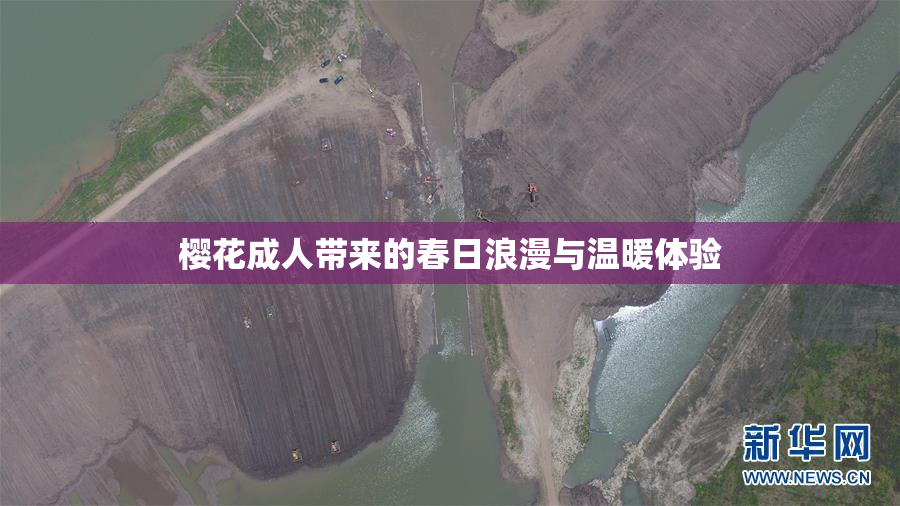 樱花成人带来的春日浪漫与温暖体验