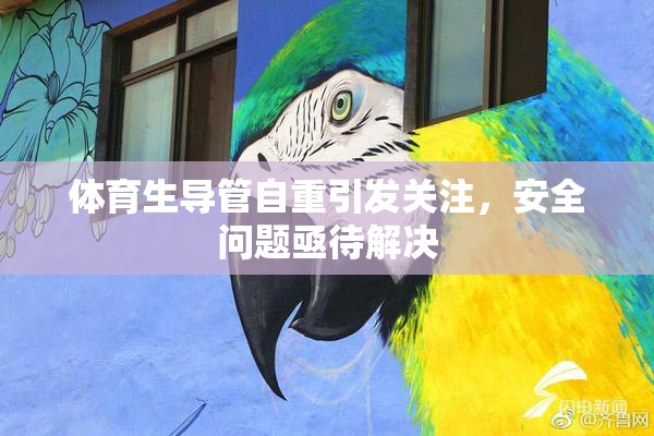 体育生导管自重引发关注，安全问题亟待解决