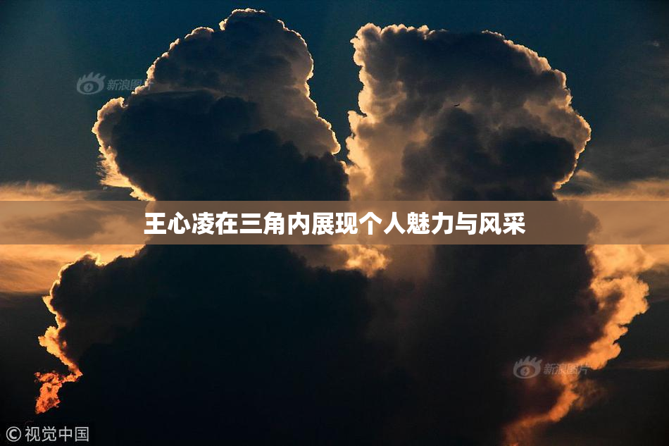 王心凌在三角内展现个人魅力与风采