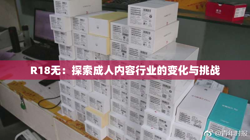 R18无：探索成人内容行业的变化与挑战