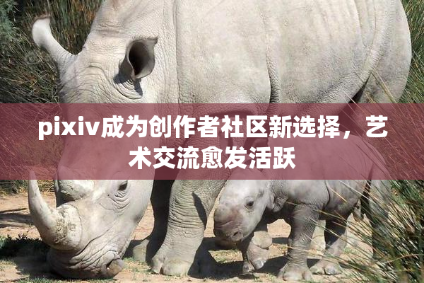 pixiv成为创作者社区新选择，艺术交流愈发活跃