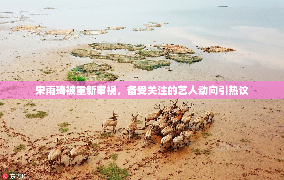 宋雨琦被重新审视，备受关注的艺人动向引热议