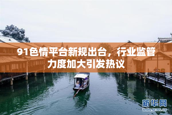 91色情平台新规出台，行业监管力度加大引发热议