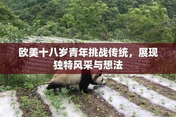 欧美十八岁青年挑战传统，展现独特风采与想法