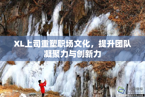 XL上司重塑职场文化，提升团队凝聚力与创新力