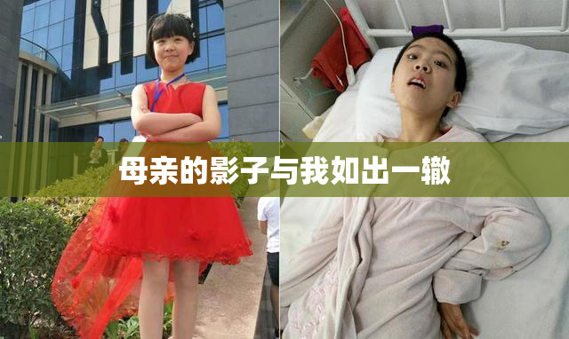 母亲的影子与我如出一辙