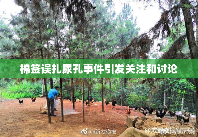 棉签误扎尿孔事件引发关注和讨论