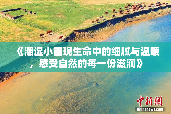 《潮湿小重现生命中的细腻与温暖，感受自然的每一份滋润》