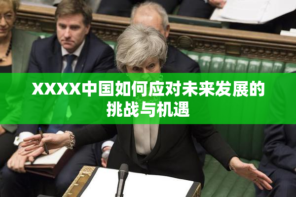 XXXX中国如何应对未来发展的挑战与机遇
