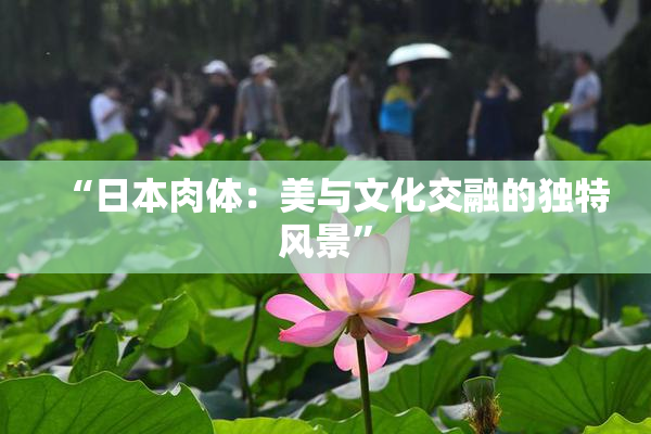 “日本肉体：美与文化交融的独特风景”