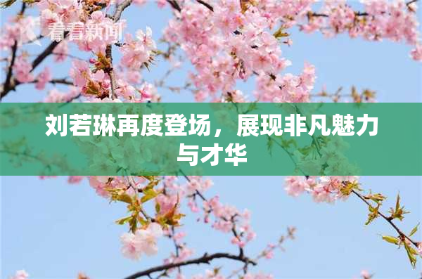 刘若琳再度登场，展现非凡魅力与才华