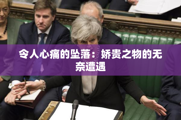 令人心痛的坠落：娇贵之物的无奈遭遇
