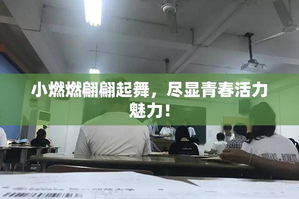 小燃燃翩翩起舞，尽显青春活力魅力！