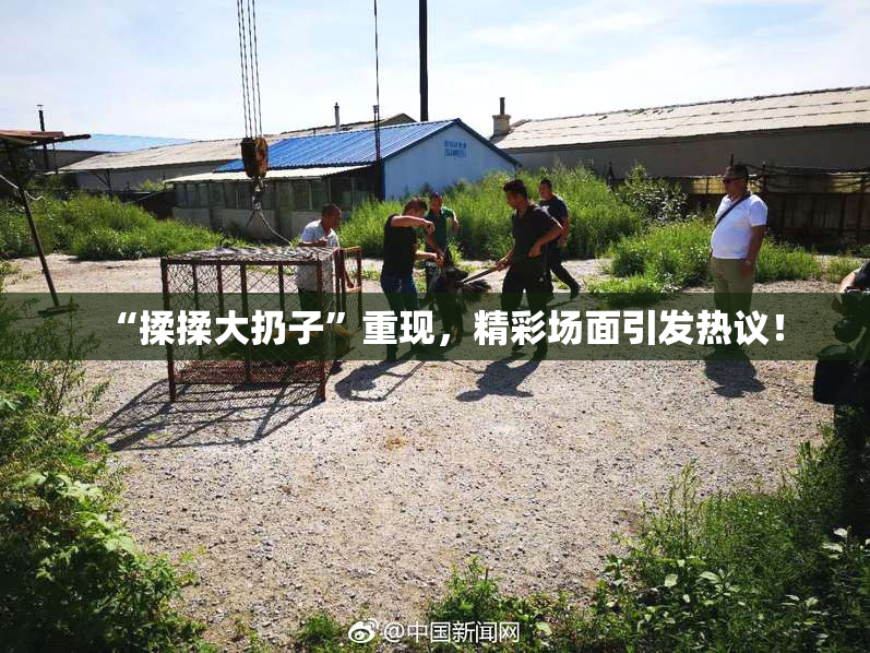 “揉揉大扔子”重现，精彩场面引发热议！
